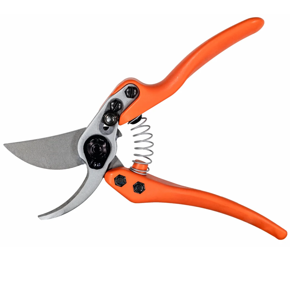 "Löwe 11 Precision Clean Cut