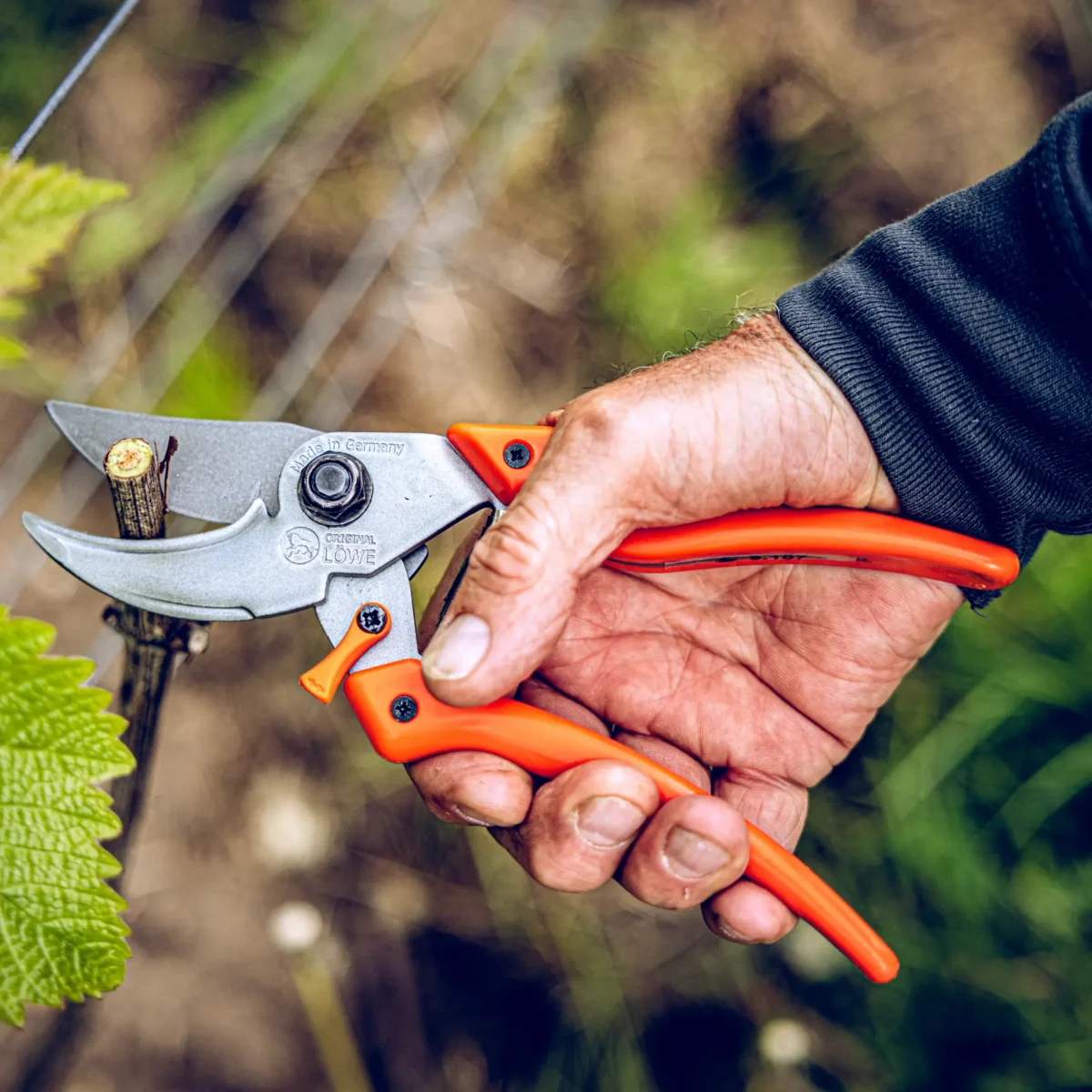 Sodo žirklės Löwe 9.107 Bypass Professional Clean Cut