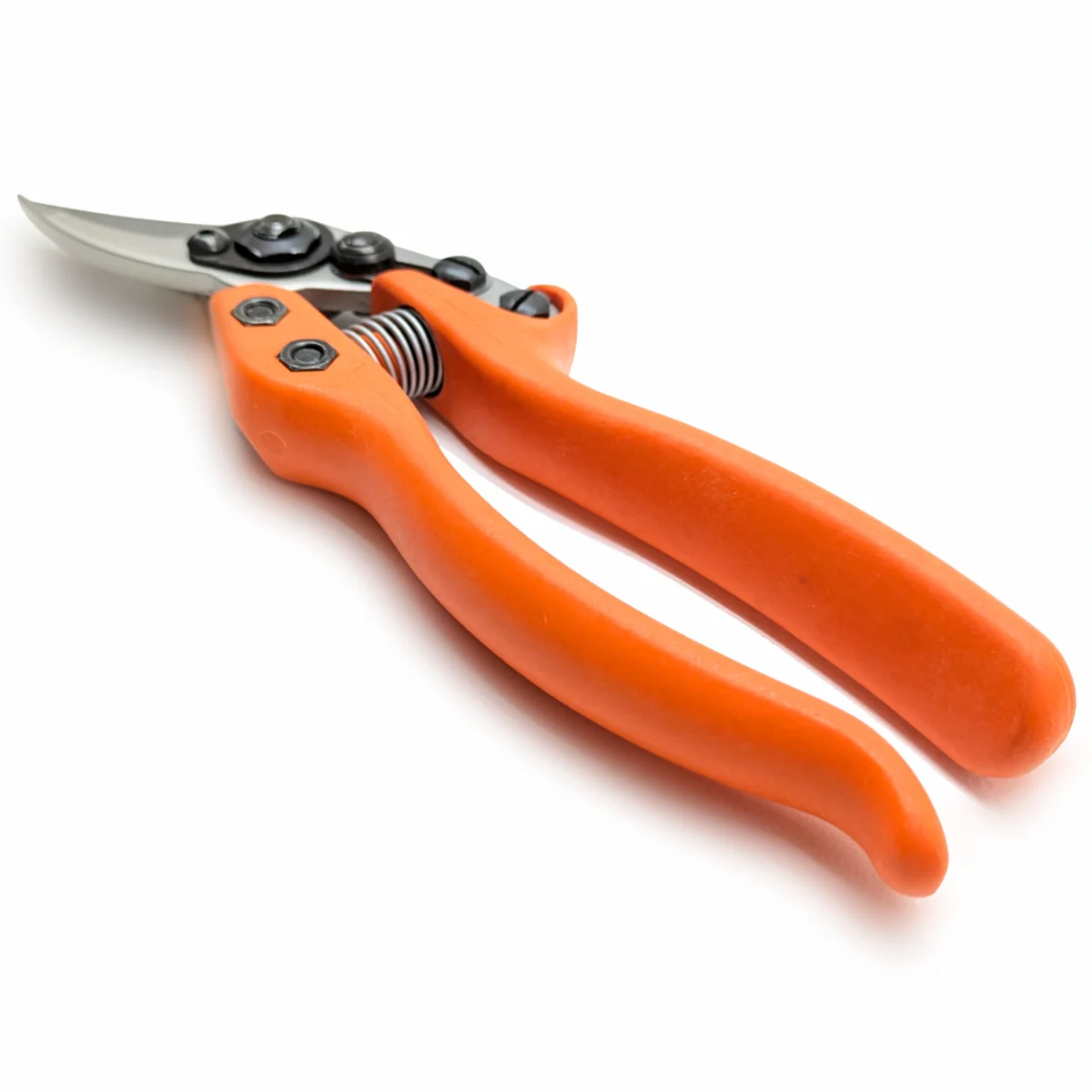 "Löwe 12 Precision Clean Cut" mažos moteriškos žirklės