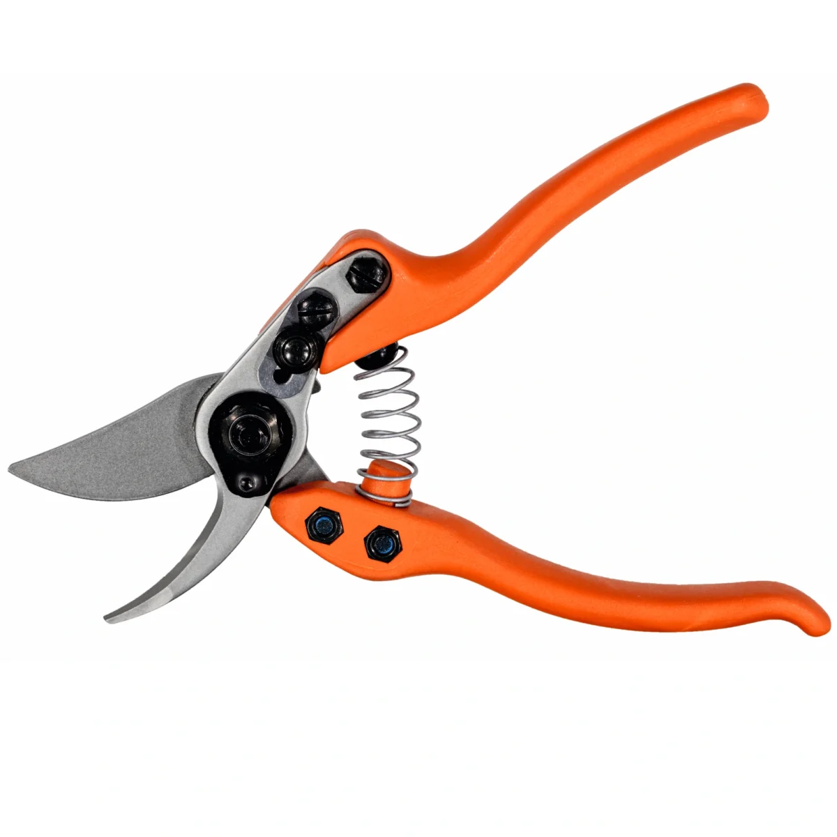 "Löwe 12 Precision Clean Cut" moterims
