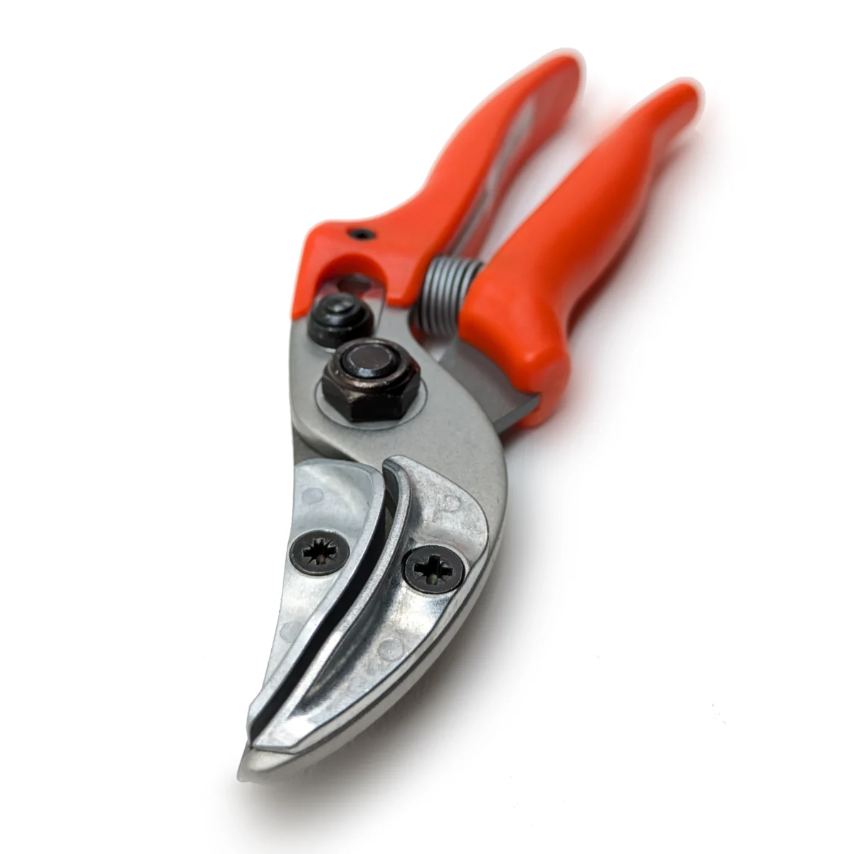 Originalios "Löwe" rožių pristatymo žirklės