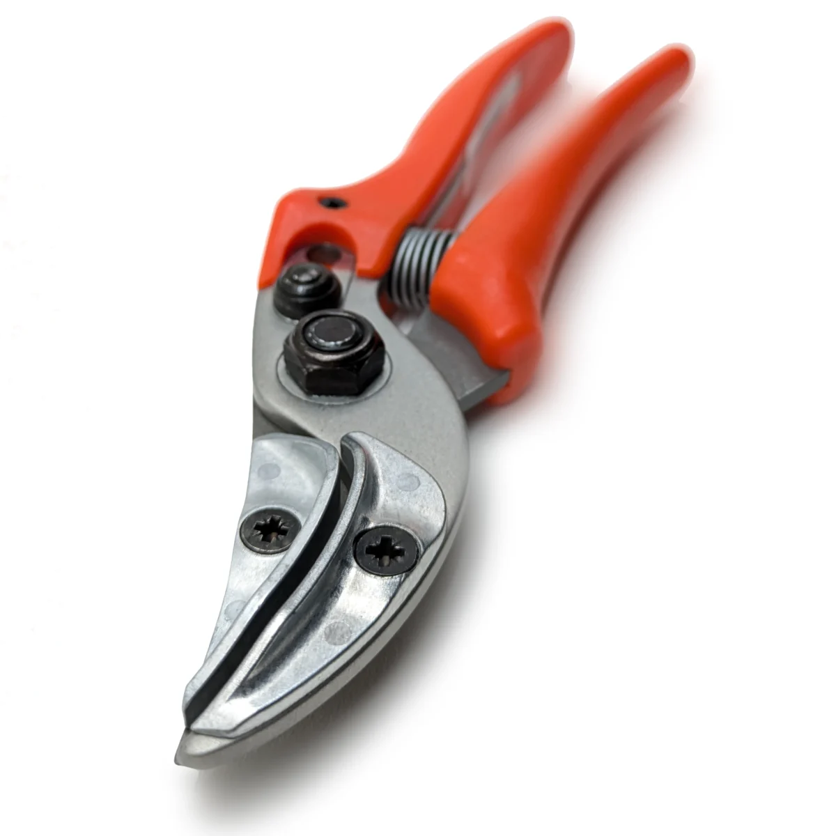 Originalios "Löwe" rožių pristatymo žirklės